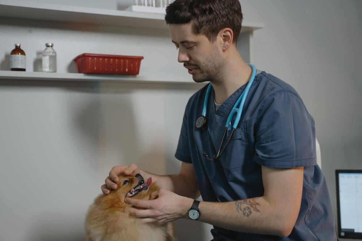 What Are the Biggest Expenses That Affect Veterinary Clinic Profitability?